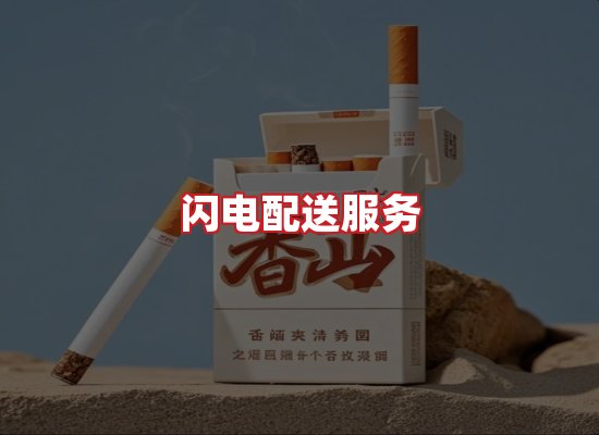 专业团队